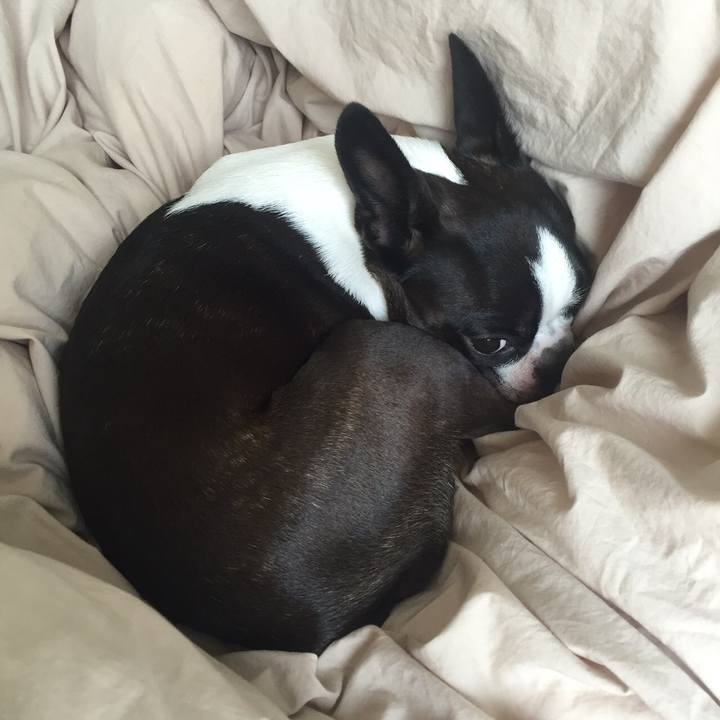 35941cb4 71d7 42c3 bf89 c8b00449f906 1512211901370