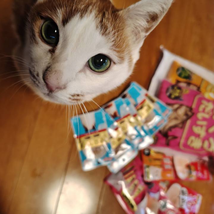 35941d03 0e69 4a8e 94af f0b4c9ea4ddc 1767252073303