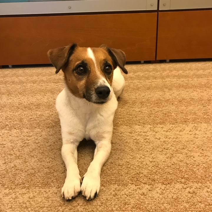 35942612 ab47 46e3 b799 9bfc2387bd62 1773244206412