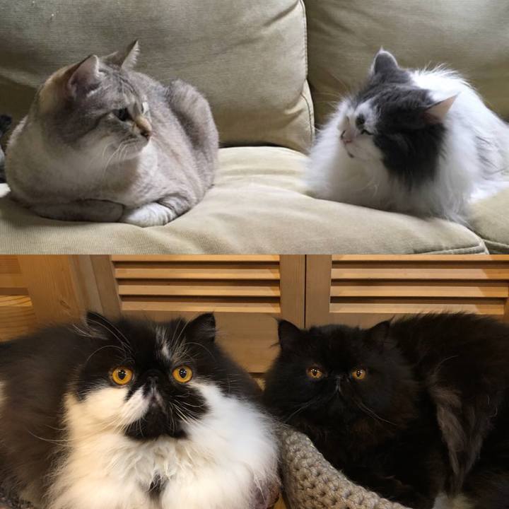 35944533 4d27 4267 99e4 90ea902ab832 1536529373429