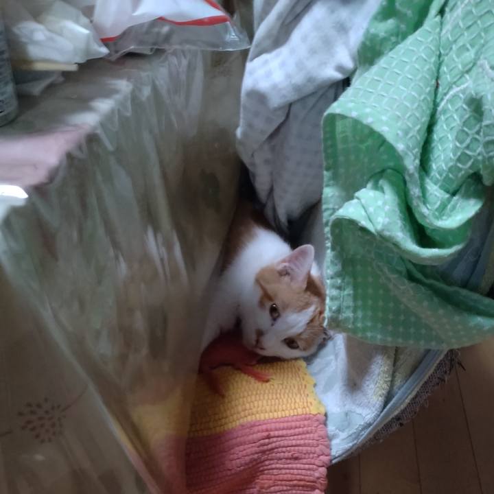 35948703 99b8 4c24 aa1b 9fb0c561eb56 1735193487660