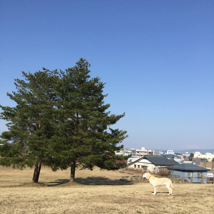 359495af 2ecc 4991 bbdf 9205cd920249 1522132855527