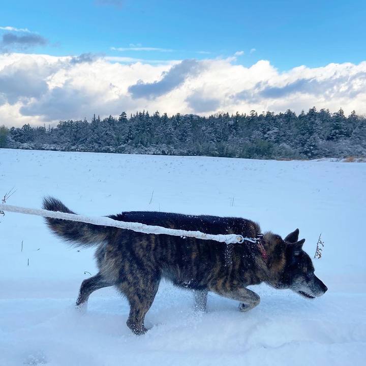 35949d2c 6710 44ab a900 37a7e454d0cf 1609465920749