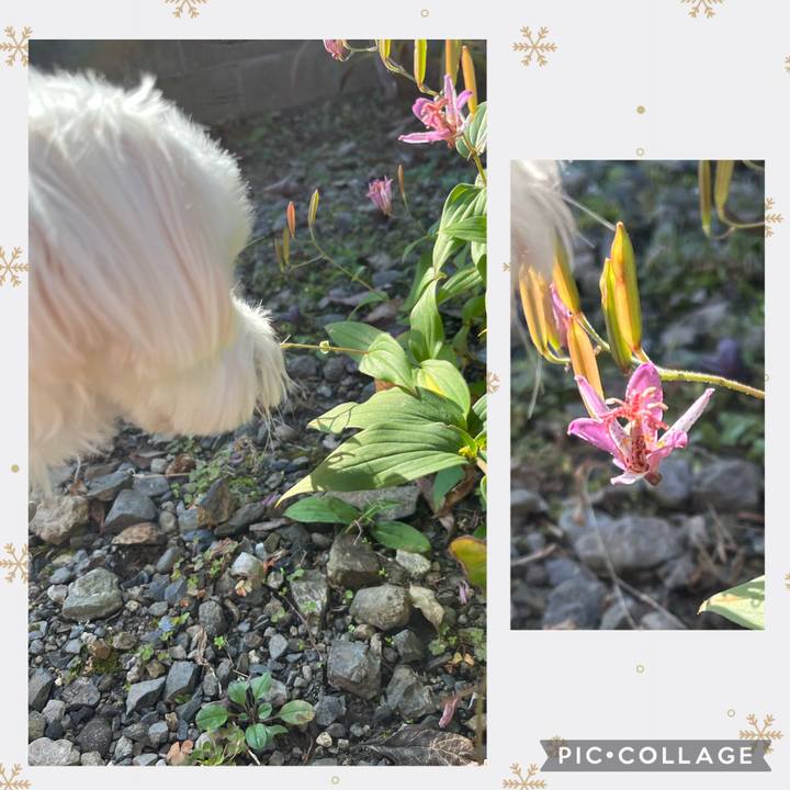 3594a128 208e 4b59 a3c5 0d83d7f30244 1668319628987