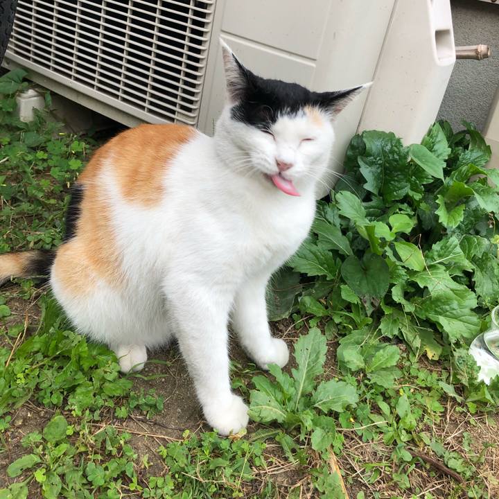 3594ae44 992f 48cd a30e d61acd42ed72 1601767110965