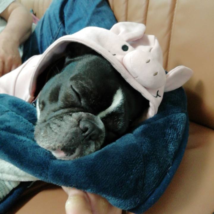 3594b7d3 1d19 4706 9acd 05d108436baf 1550748143163