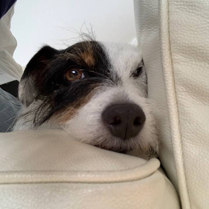 3594b99c 547b 437b 91f9 9534d77a793d 1592802531877