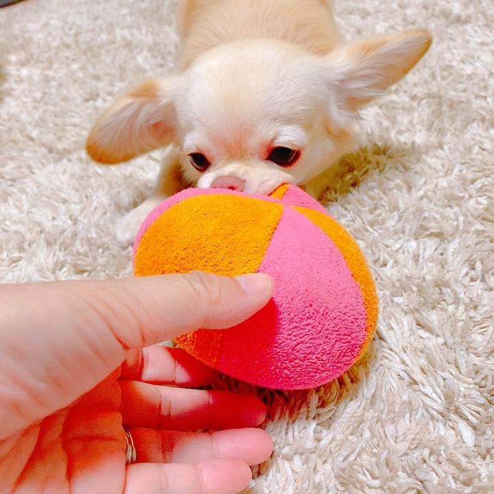 3594e1c7 caa7 4666 b5f2 117e878a278f 1630066243133