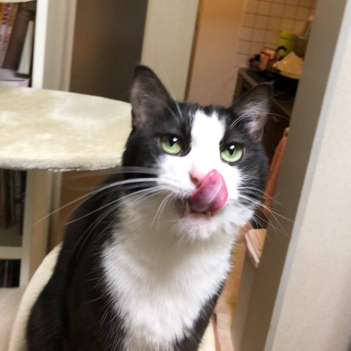 3594eaa4 40b1 4a82 86f5 c58114b596c3 1542892318468