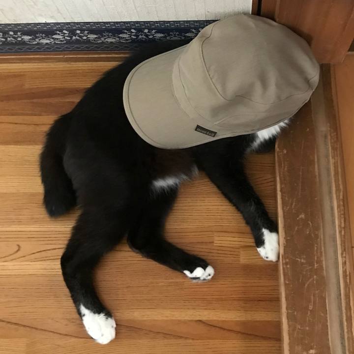 3595099b 122f 4167 9c35 ea71ff003f2e 1628048546041