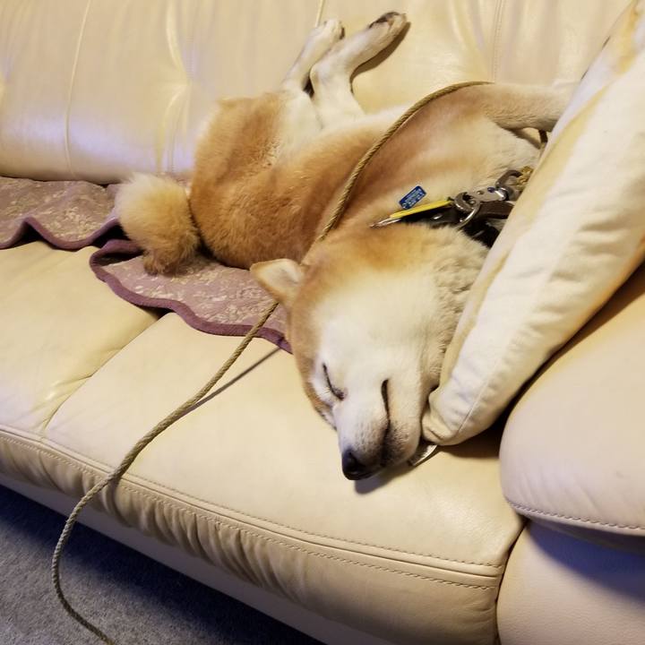 3595a71c c419 45bb a542 7b063652aaa3 1638176731665