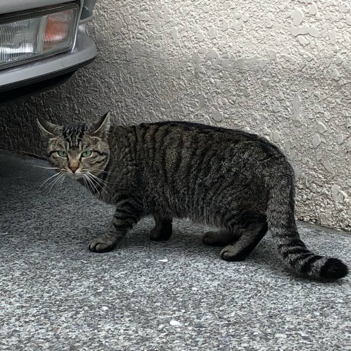 359602dc c89e 4259 92a3 a55f08c57d2d 1522170244486