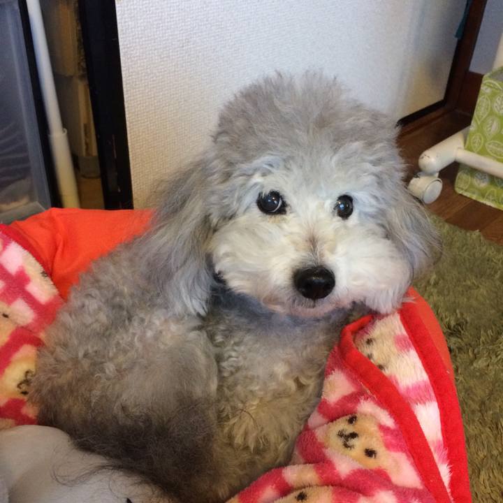 35961b46 f6ab 42e4 ba91 59dcefb41bda 1512558573244