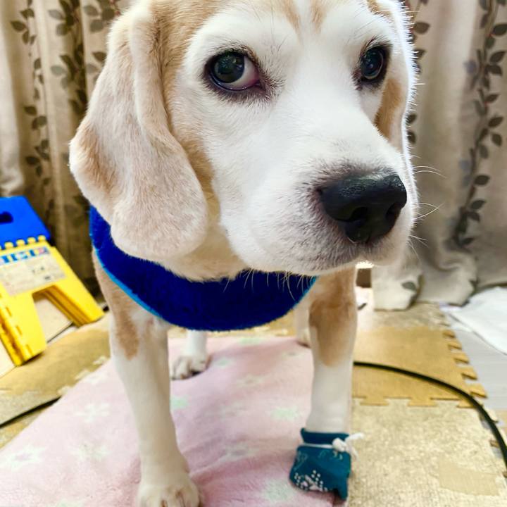 359635fe 93cf 4fd8 ab75 9cb1312fb7d1 1614830434497