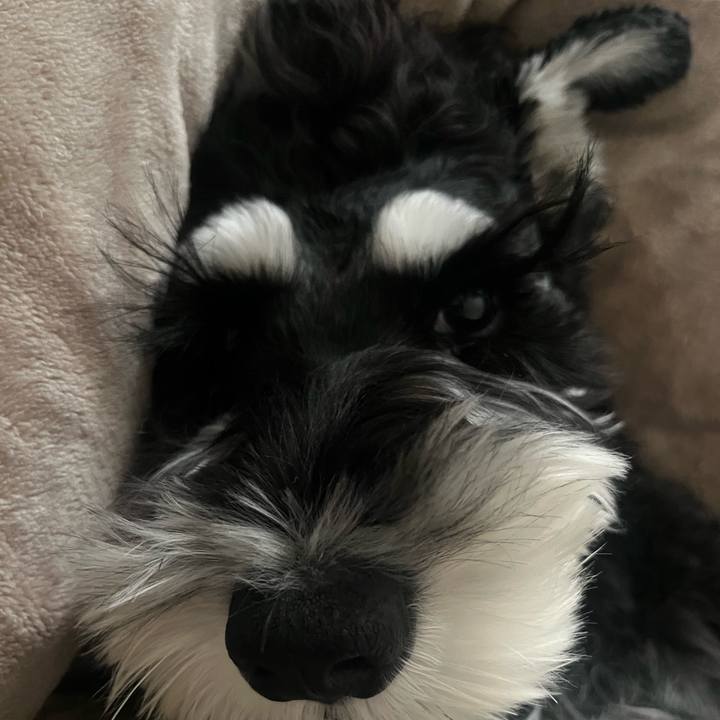 3596456c eea2 4464 8ead c70c8c5f26d8 1765490649843