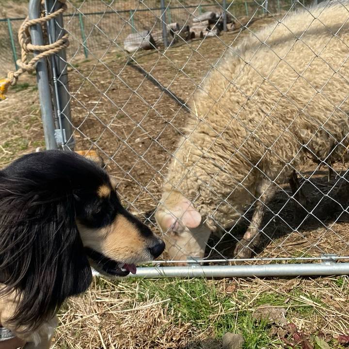 35964bf0 e9b8 4a34 ad44 974ac6991335 1710661144426