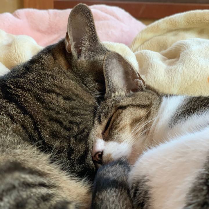 359651c6 e596 43fe 9907 6039455c84e1 1543713979595