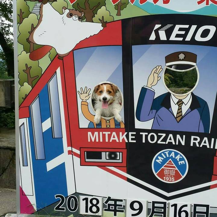 35969ec7 ebaa 44fe 92c7 7d969926c706 1537183730115