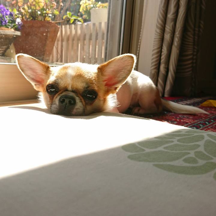 3596b5a5 2c11 4b2b 9ab7 db009aeb5284 1553147198406