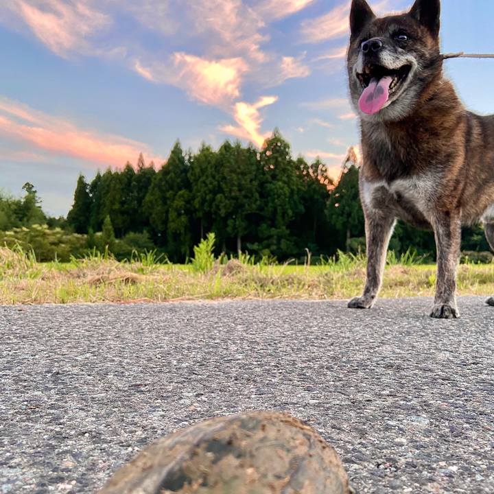 3596bedf f2b0 47e4 8b97 fa887127546a 1598530322721