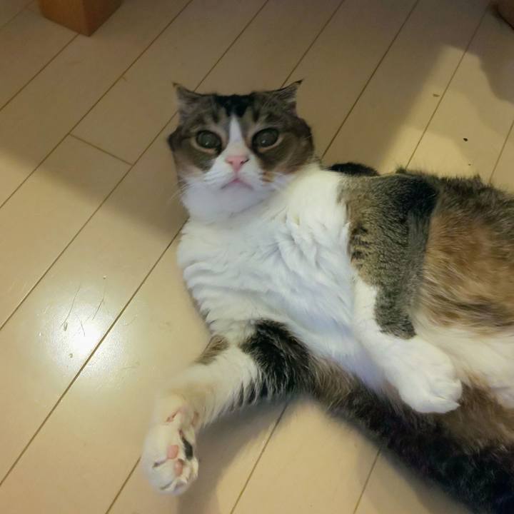 3596cc2b 497e 440d bb9a cd7868a82d7e 1763073379705