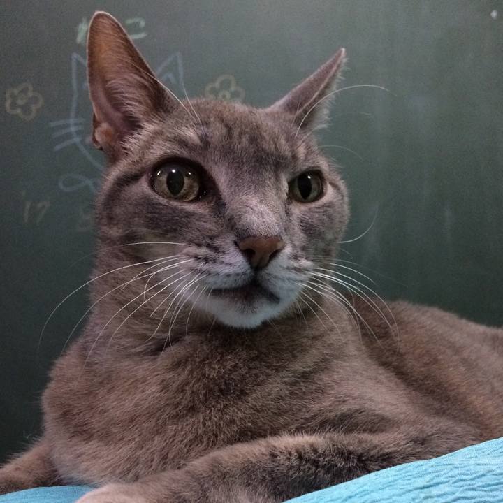 35970ec4 60c0 4f16 ac33 4ba518b4cd1c 1512777099392