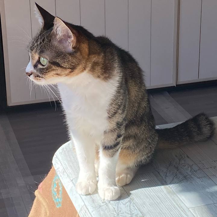 35972109 5d40 430c 9956 33c2967ed9d2 1610297094332