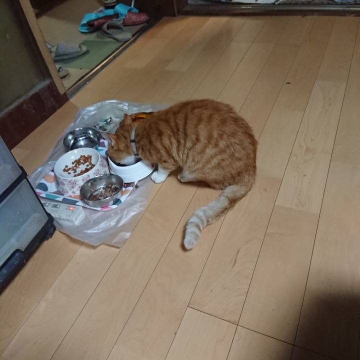 35977ee1 127c 493f 8582 e0d06d58fc50 1596885600151