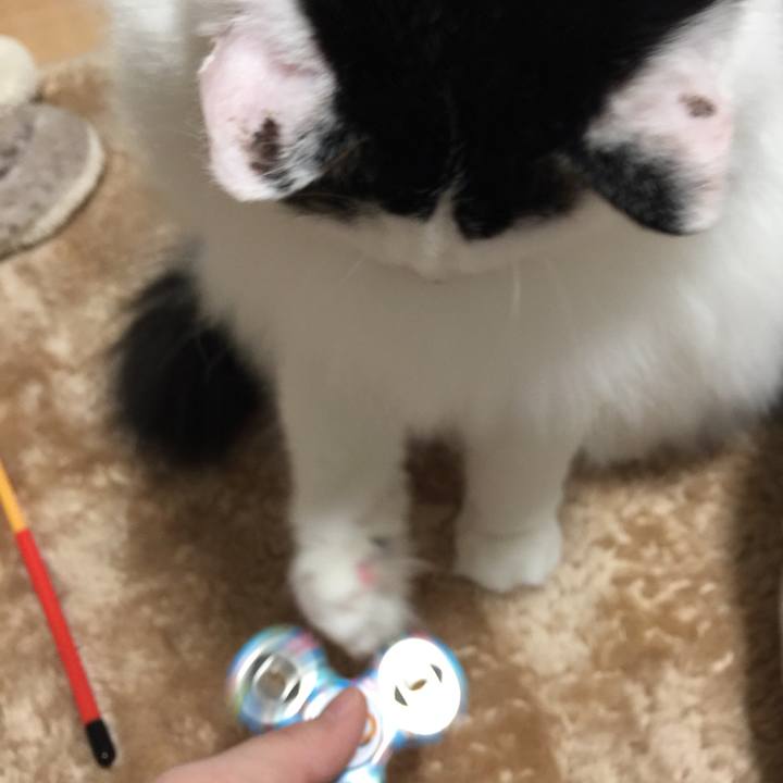 35978f17 f0b7 4151 a5fe e08bd3de3ea2 1513602698629