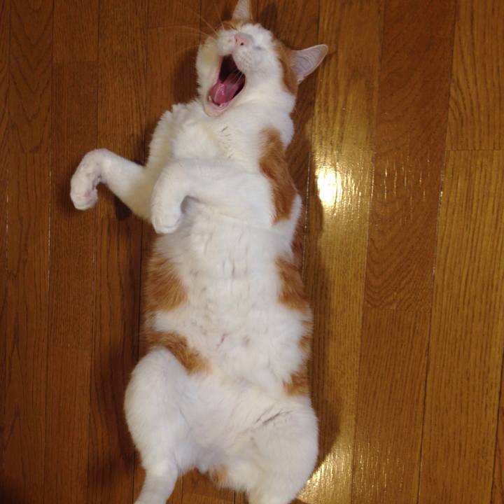 359793bc b71e 402b a688 3b21df607a4c 1509719961380