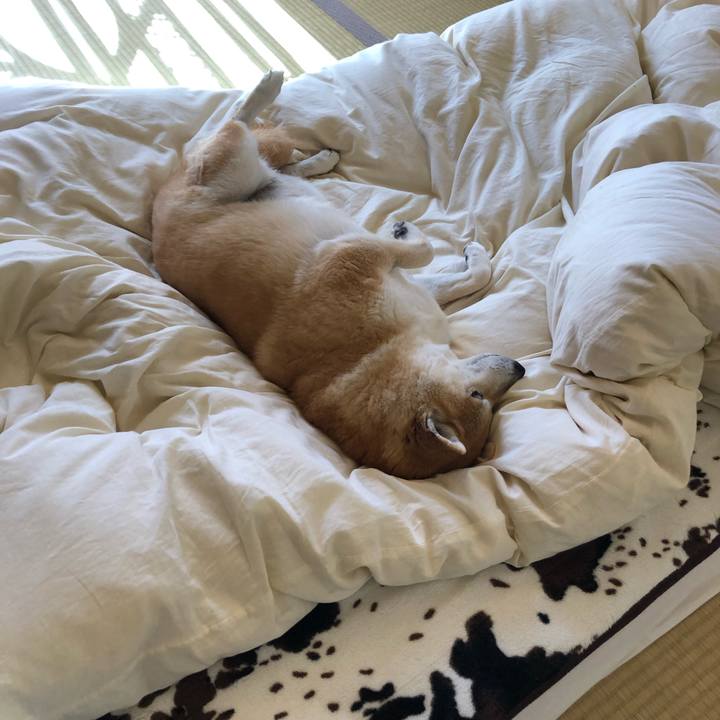 3597c902 5c6c 4457 bf9b b55ea99d26c1 1555765852074