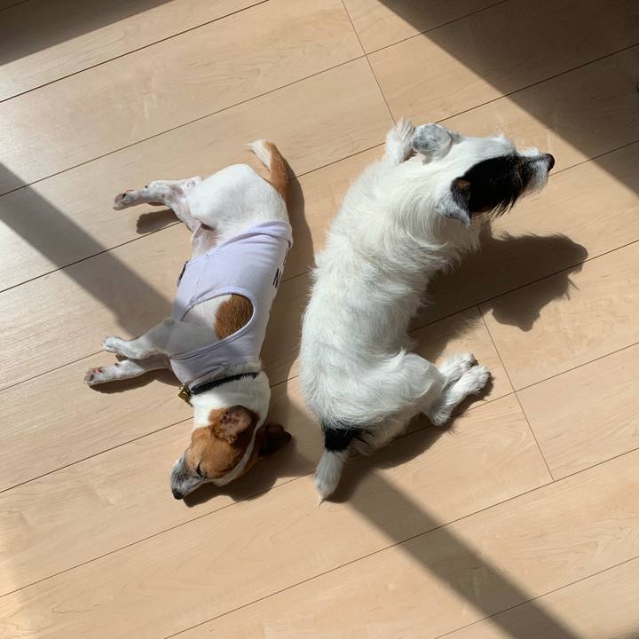 3597df84 68a4 46e6 bca2 427de4ec9df9 1564205431387