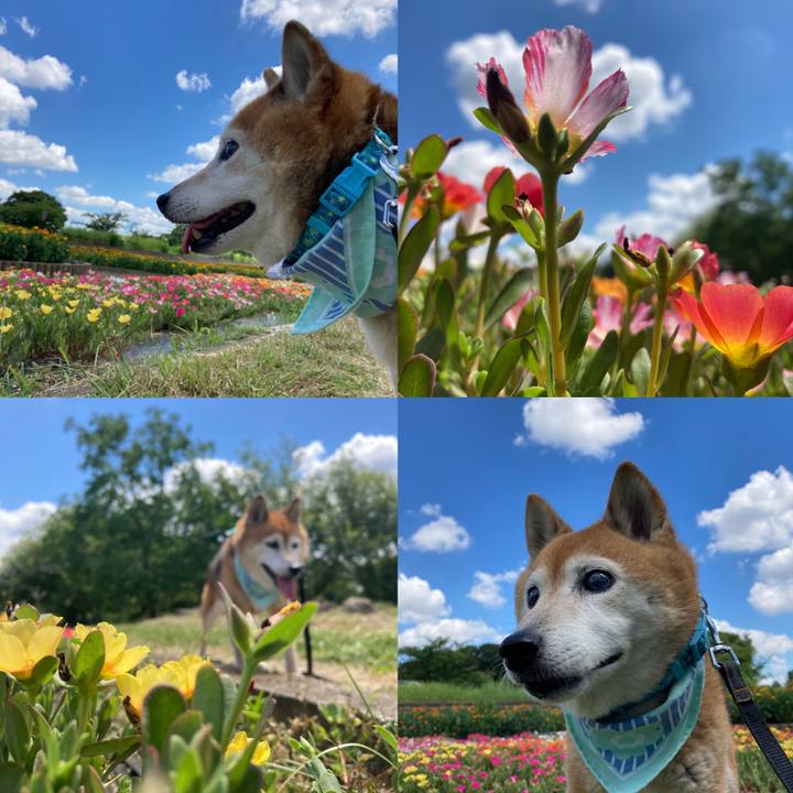 3597e9bf edca 4867 ba03 741793bec6ff 1753850871369