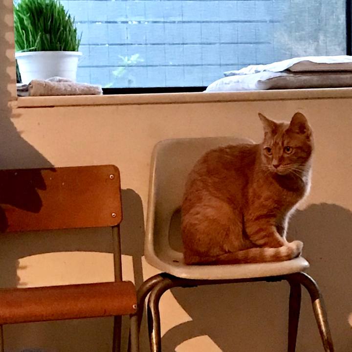 35980c45 5004 4b14 b6fb 12f1bbbc408f 1555592613248