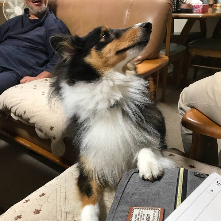 359840dd 4f70 4f55 ad0b 054a78f02297 1538175234098