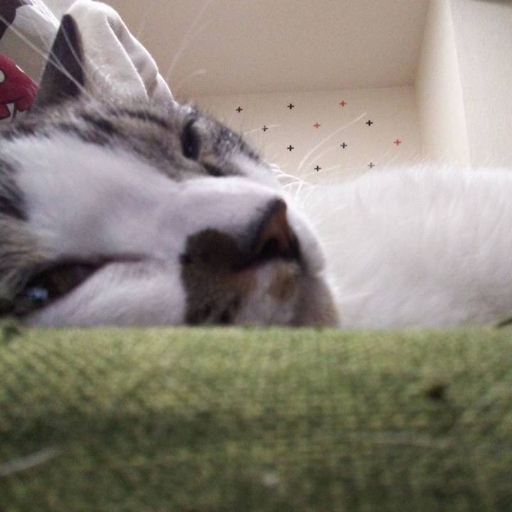 35986ffc ab86 4cb2 b0f8 9f0ff3804e62 1645698734671