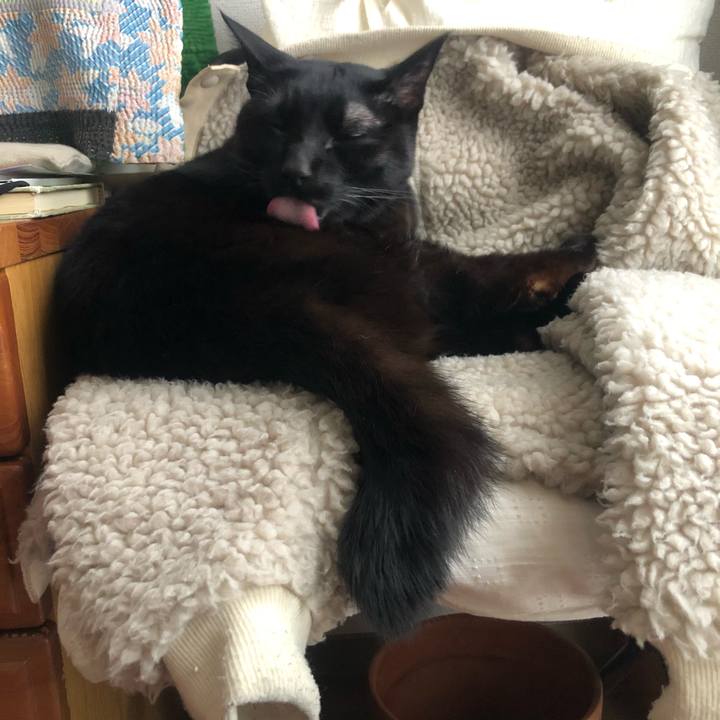 3599150a 516c 4a02 8c97 7e3093eb1f03 1611630099877