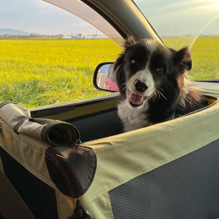 35991688 80dc 42eb 8625 22b4dfdc3988 1632731295677