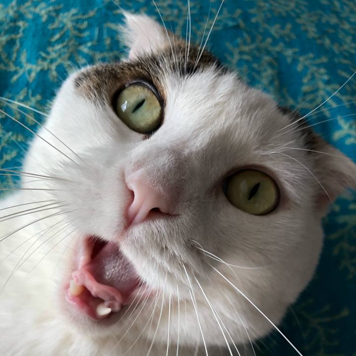 35991ec2 d92a 4b33 b5ef f705aa4bc9a5 1536805294450