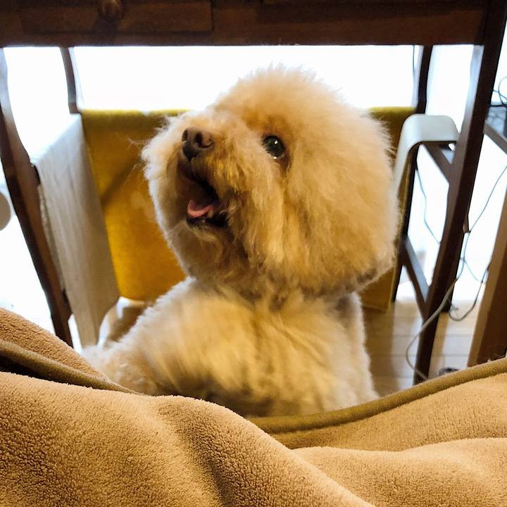 3599432d db13 4789 b184 ba483ef071b8 1521694407937