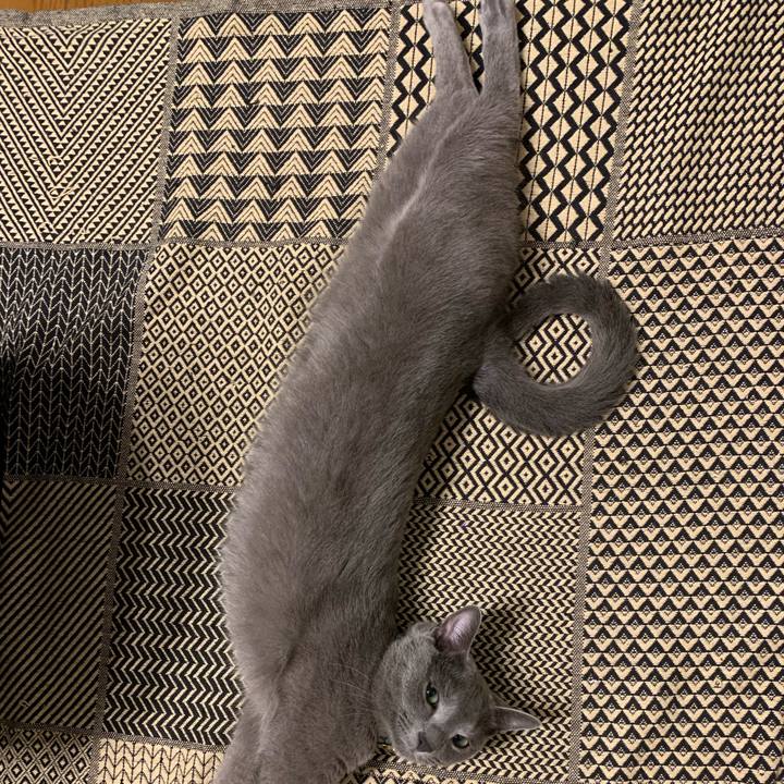 35996bb6 77a3 4c80 a7e1 58900f7b91a8 1601561973233