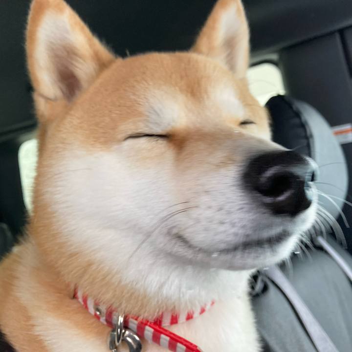 35997617 5ac7 4e05 a369 963699781e6f 1641014756484