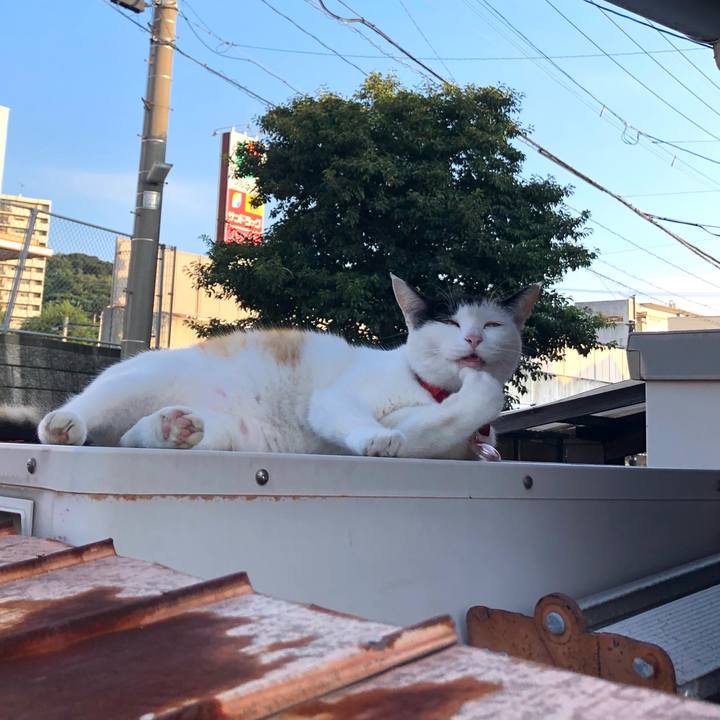 35998215 18d9 4c72 8358 13bee2ad4052 1632264900710