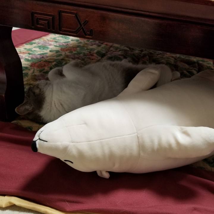 3599c163 e866 41ec 8eaf 34569f9daa8a 1597320703875