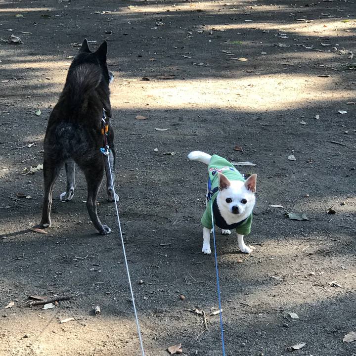 3599d232 abf8 440b a600 c7abacc75ce1 1509450747758