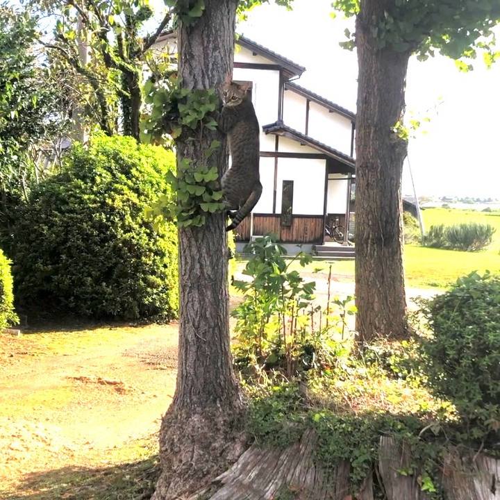 3599d9a5 28d0 4df1 ac5d b1b46d75f434 1695615949458