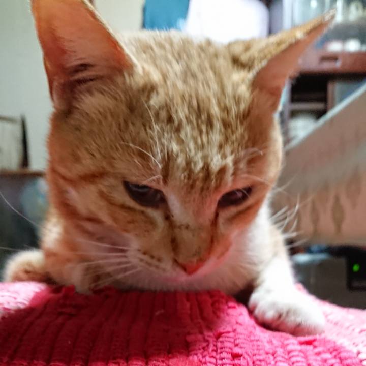 3599e0fd b5ee 4638 b73c 0f053fcbb689 1554723016139