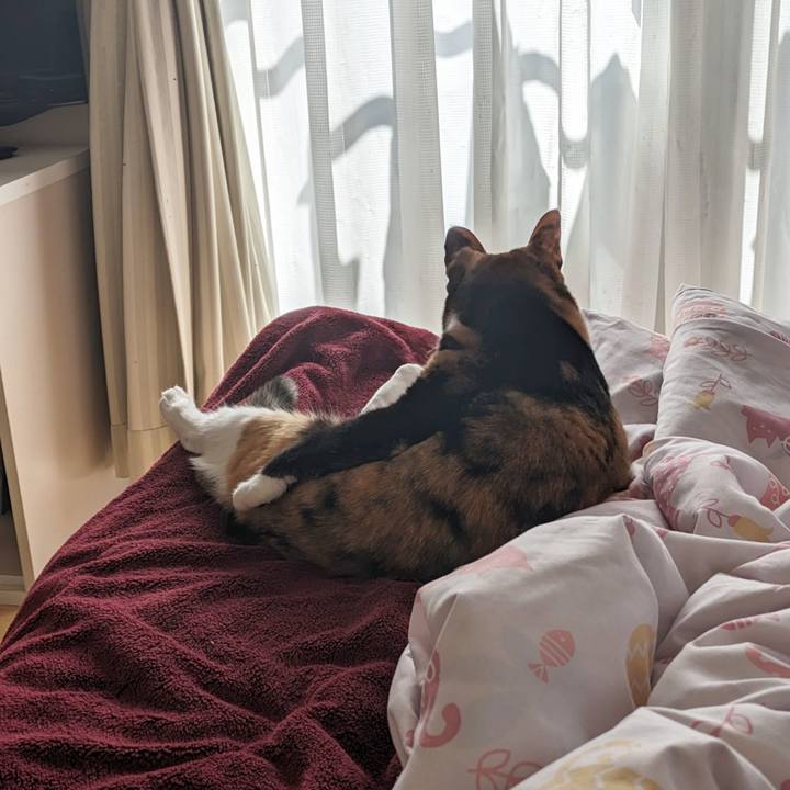 3599e4f5 9992 4849 9ed3 84378e52b963 1698638584058