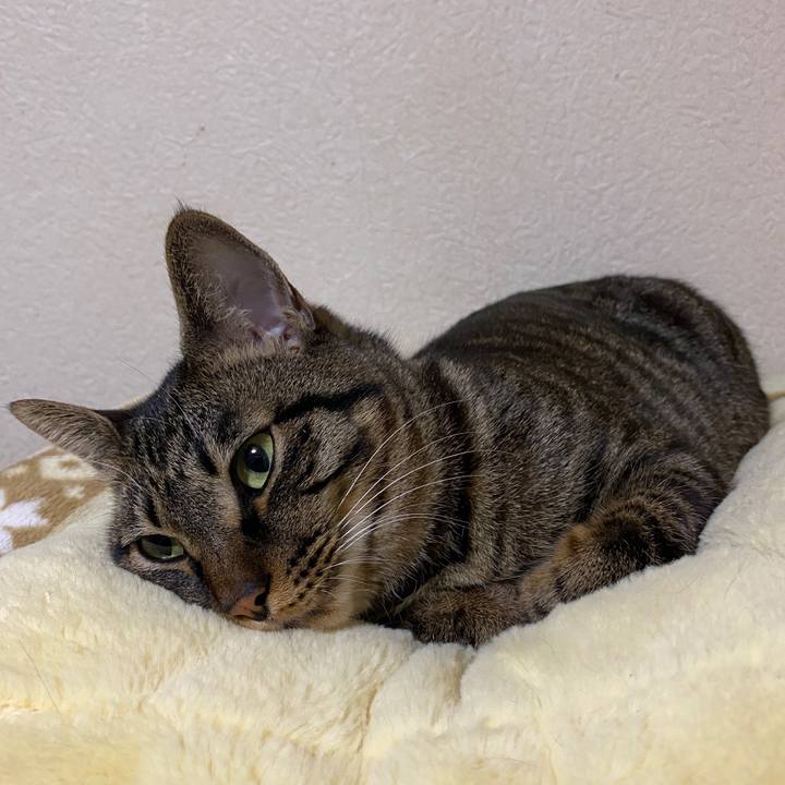 3599f7af b265 44b1 9eb9 dda15cef91e1 1583908829949