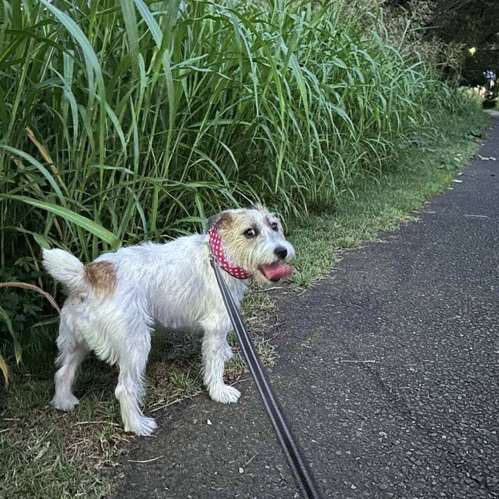 359a3fa3 f51c 4eed afd8 906c4daf419d 1755893530343